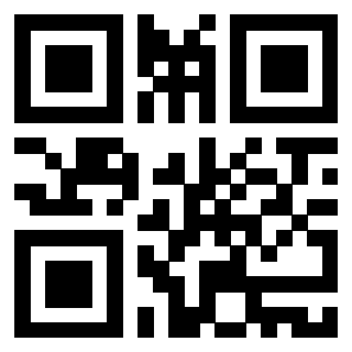 Il Qr Code di 3916896103