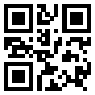 Il Qr Code di 3916896162