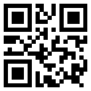 Il Qr Code di 3916896176