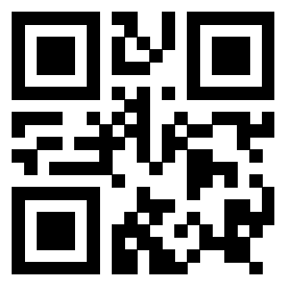 3916896256 - Immagine del Qr Code associato