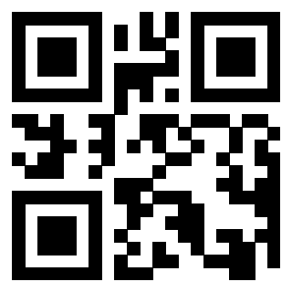 Il Qr Code di 3916896363