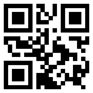 Il Qr Code di 3916896364