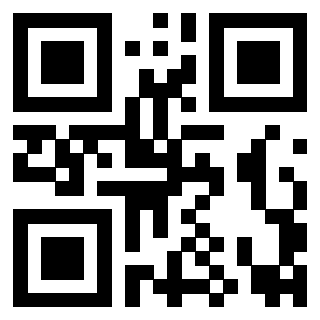 Il Qr Code di 3916896484