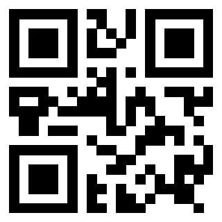 Il Qr Code di 3916896528