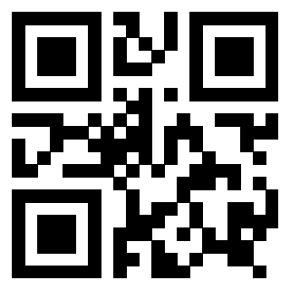 Il Qr Code di 3916896529