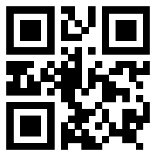 3916896611 - Immagine del Qr Code associato