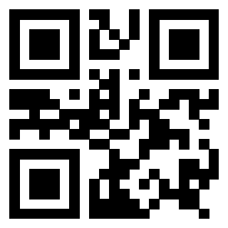 Il Qr Code di 3916896618