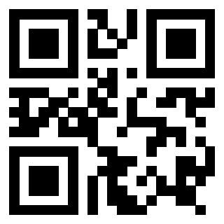 3916896666 - Immagine del Qr Code associato