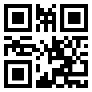 Il Qr Code di 3916916601