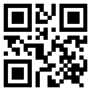 Il Qr Code di 3916916606