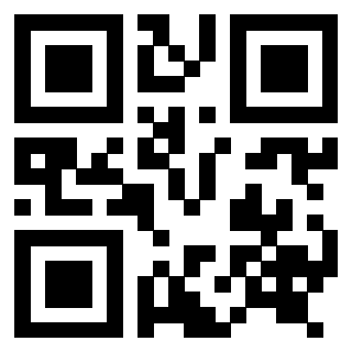 Il Qr Code di 3916916653