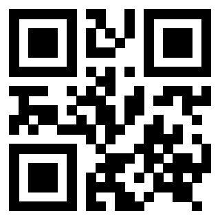 Il Qr Code di 3916916705