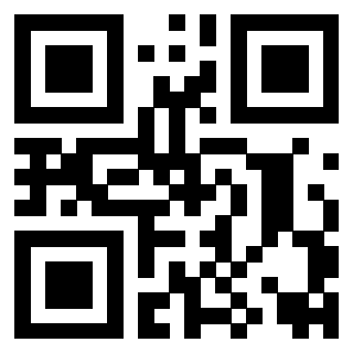 Il Qr Code di 3916916736