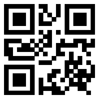 Il Qr Code di 3916916887