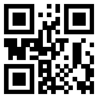 Il Qr Code di 3916916958