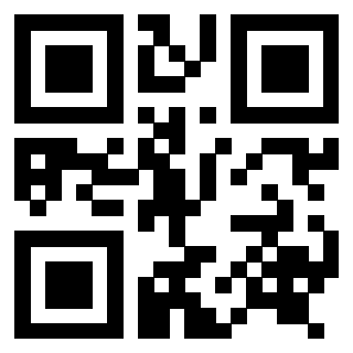 Il Qr Code di 3916917022