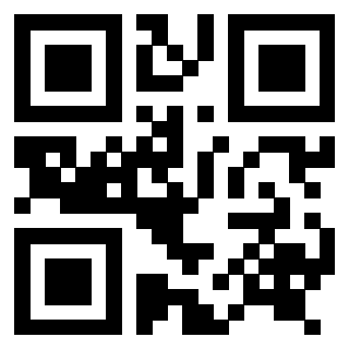 3916917062 Qr Code associato