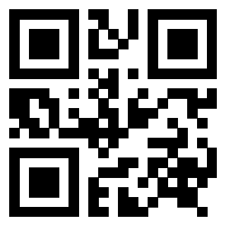 3916917083 - Immagine del QrCode associato