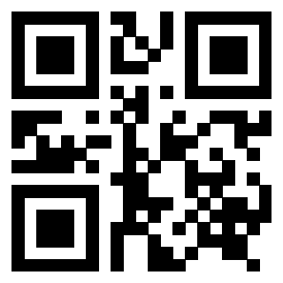 Il Qr Code di 3916917096