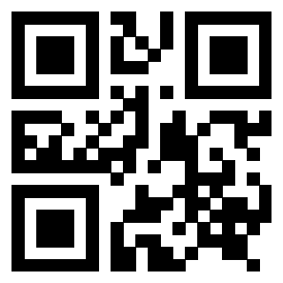 Il Qr Code di 3916917105