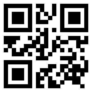 3916917243 QrCode associato