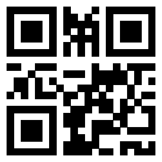 Il Qr Code di 3917029986