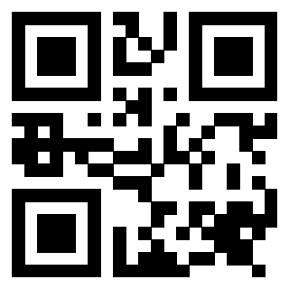 3917030013 - Immagine del Qr Code associato