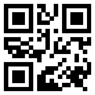 3917030040 QrCode associato