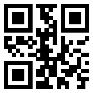 Il Qr Code di 3917030047