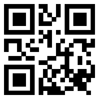 Il Qr Code di 3917030055