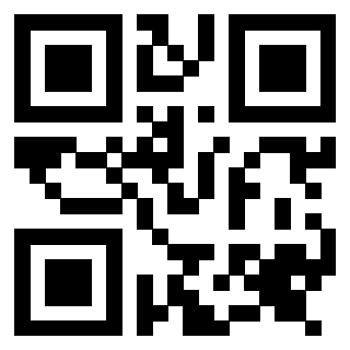 Il Qr Code di 3917030073