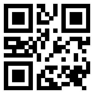 Il Qr Code di 3917030083
