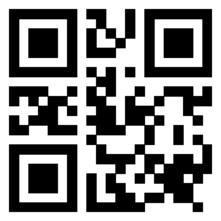 Il Qr Code di 3917030091