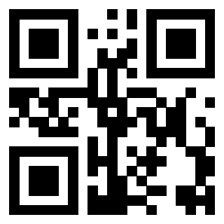 Il Qr Code di 3917030119