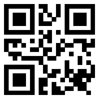 Il Qr Code di 3917030207