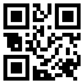 Il Qr Code di 3917030210