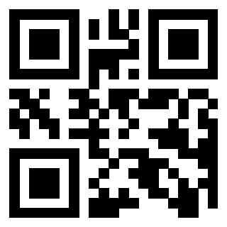 QrCode di 3917030243