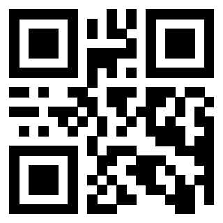Il Qr Code di 3917030281