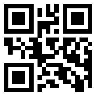 Il Qr Code di 3917030283