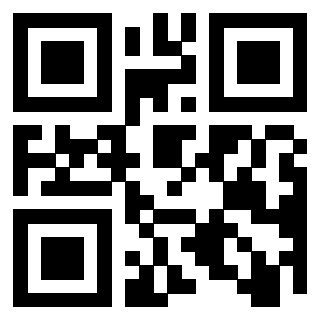 QrCode di 3917030295