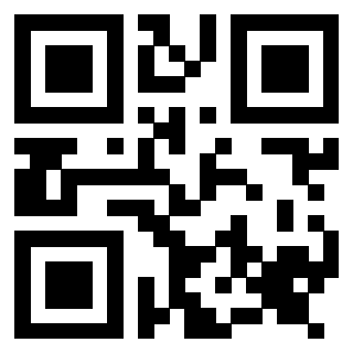 QrCode di 3917030335