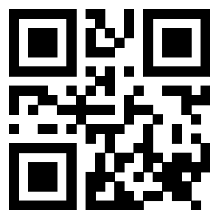 Il Qr Code di 3917030345