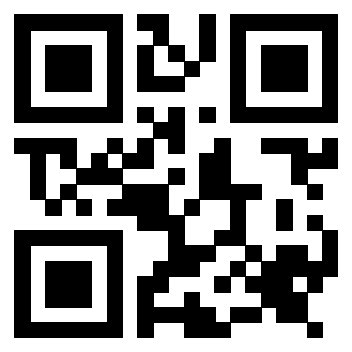 3917030494 Qr Code associato