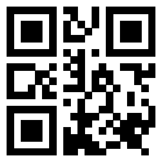 Il Qr Code di 3917030504