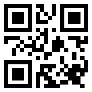 Il Qr Code di 3917030576