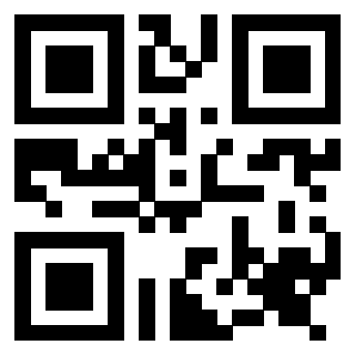 QrCode di 3917030667