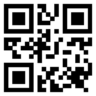 Il Qr Code di 3917030686