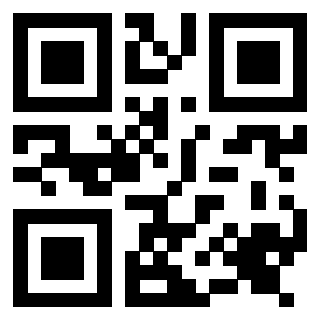 Il Qr Code di 3917030688