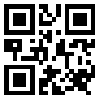 Il Qr Code di 3917030726