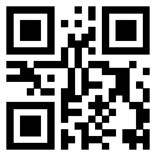 Il Qr Code di 3917030892